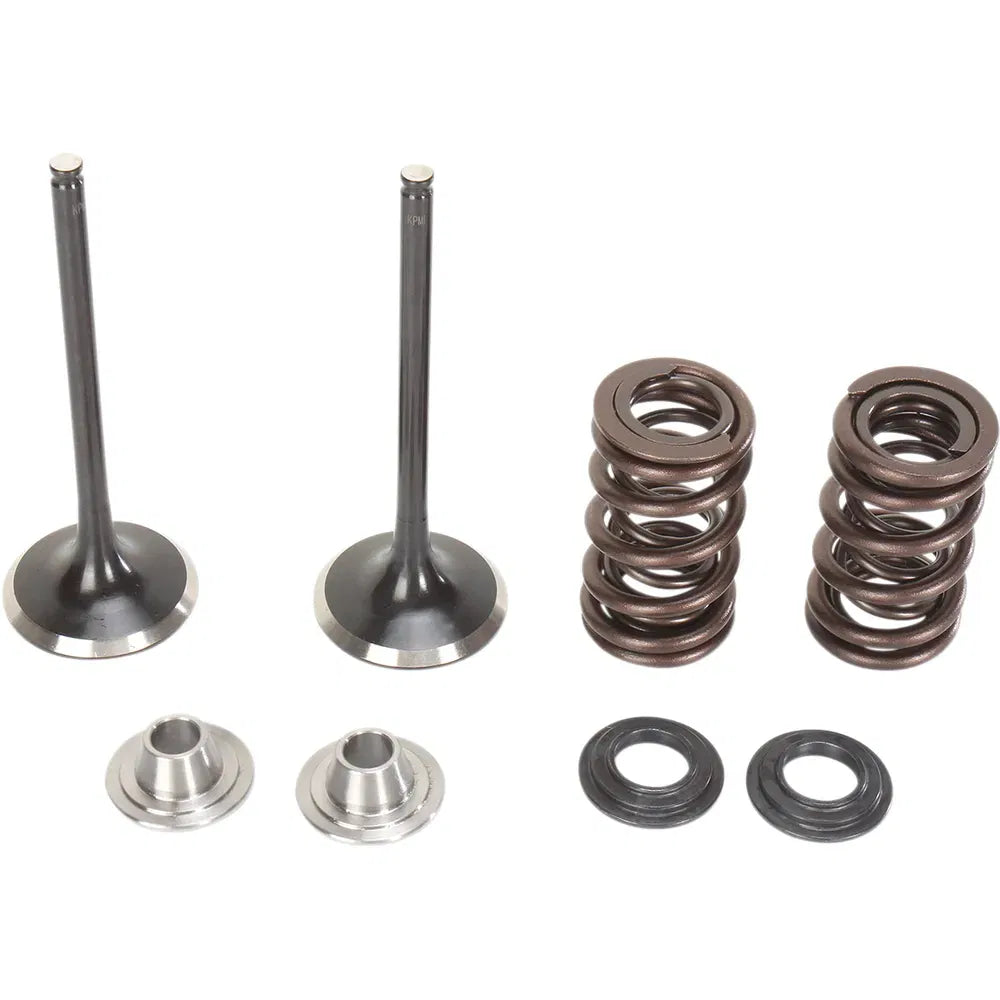 Kit de válvula y resorte de admisión - Kit de válvula y resorte - Kawasaki KX250F