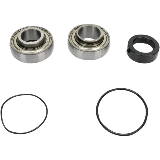 Chain Case Bearing and Seal Kit