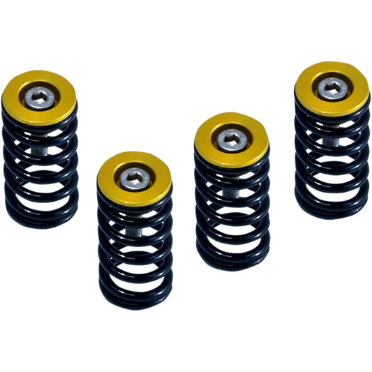Clutch Springs