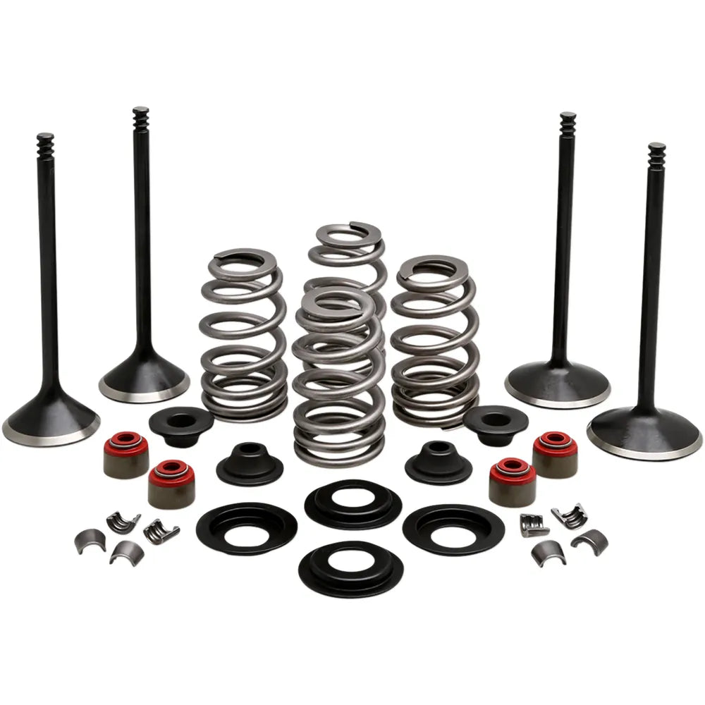 Complete Valve Kit - Twin Cam805