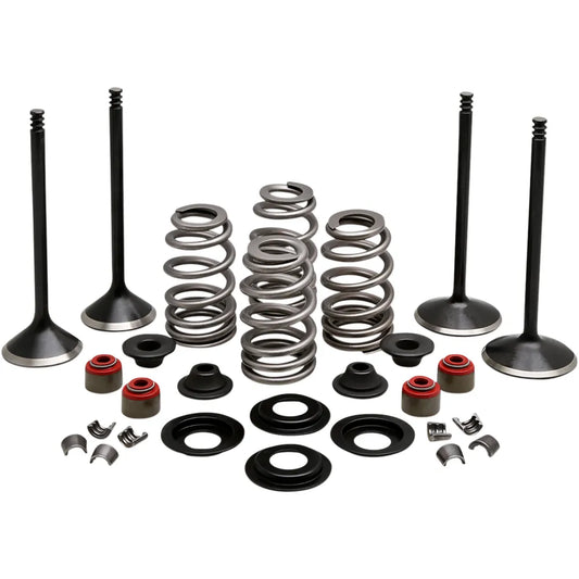 Complete Valve Kit - Twin Cam805