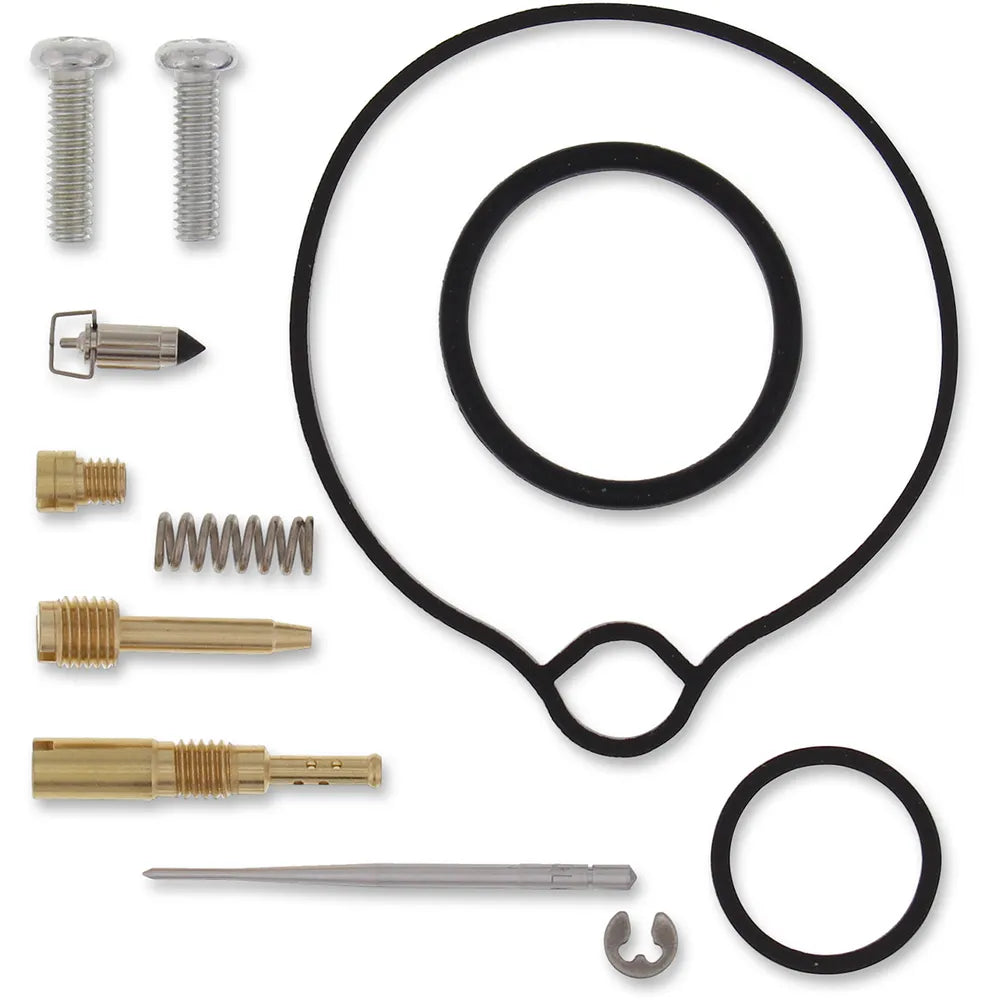 Kit de reparación de carburador - Arctic Cat
