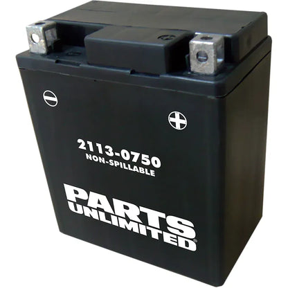 Batería AGM sin mantenimiento - Batería AGM - YTX7L