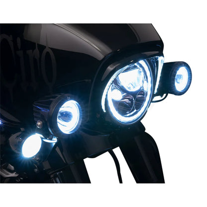 Spotlight - Black