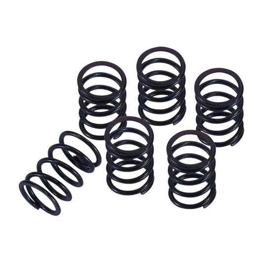 Clutch Spring Kit
