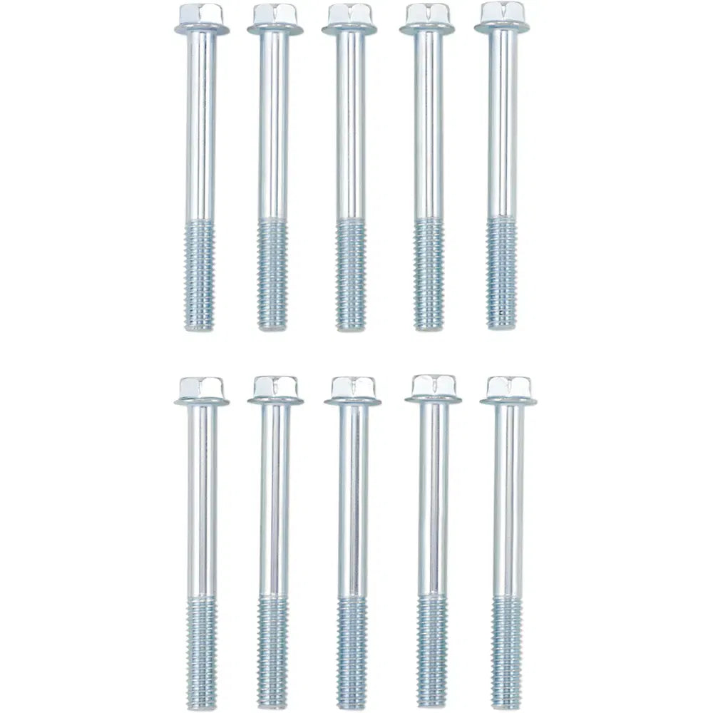 Flange Bolt M6X55 10-Pack