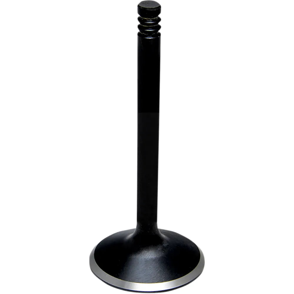Intake Valve