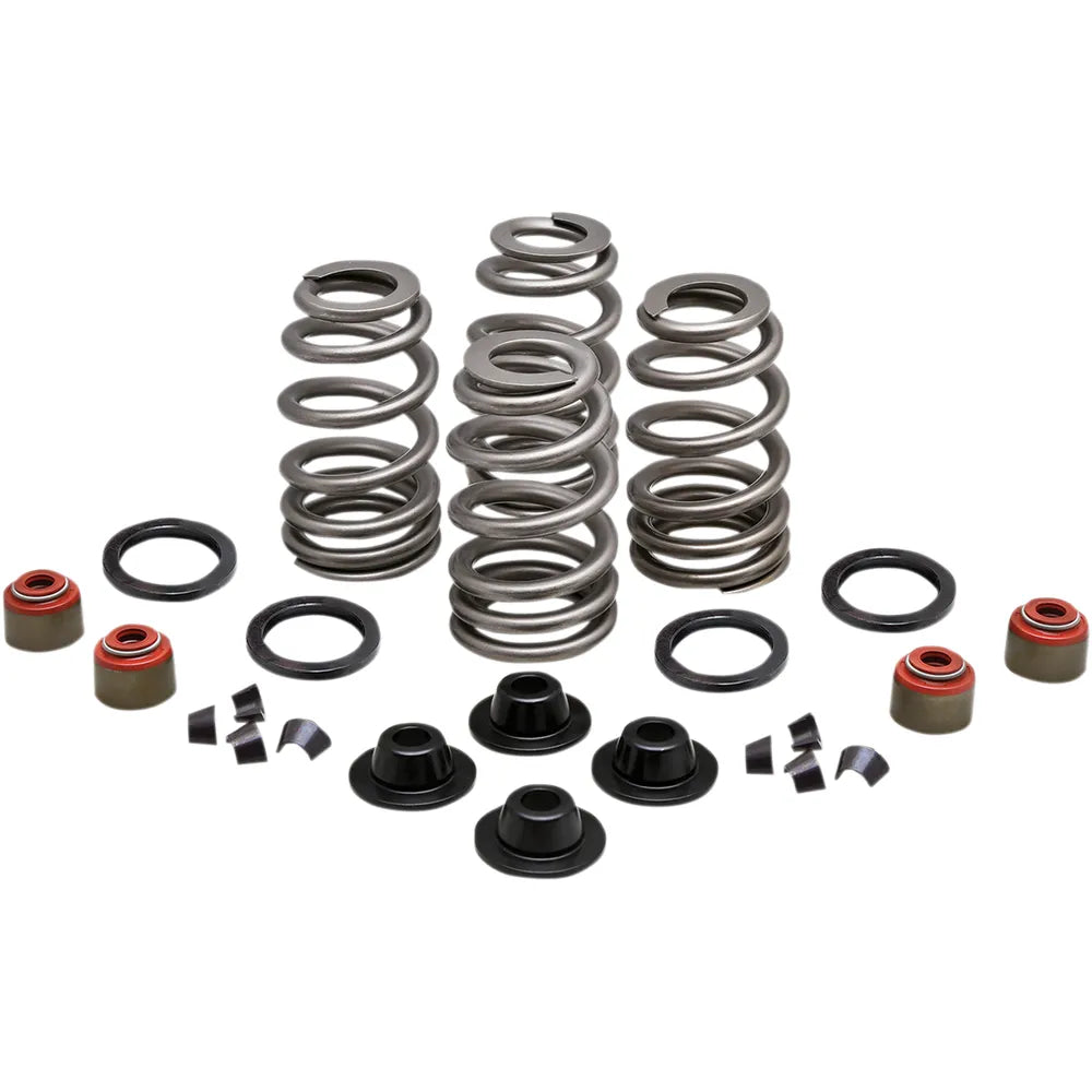 Spring Kit - .660" - Twin Cam