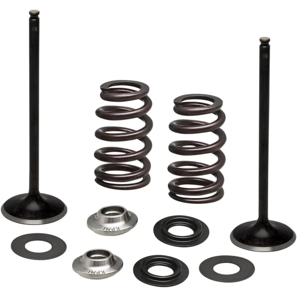 Spring Kit - Intake Only