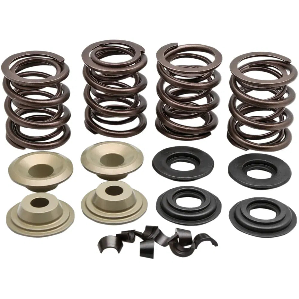 Valve Spring Kit - Big Twin7364266