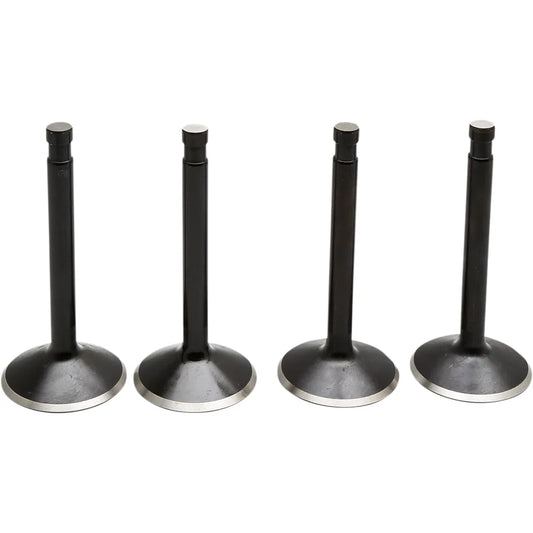 Valve Kit
