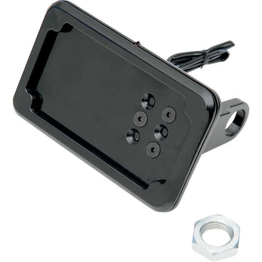 Horizontal License Plate Mount with Light - '08-'17 ST - Black