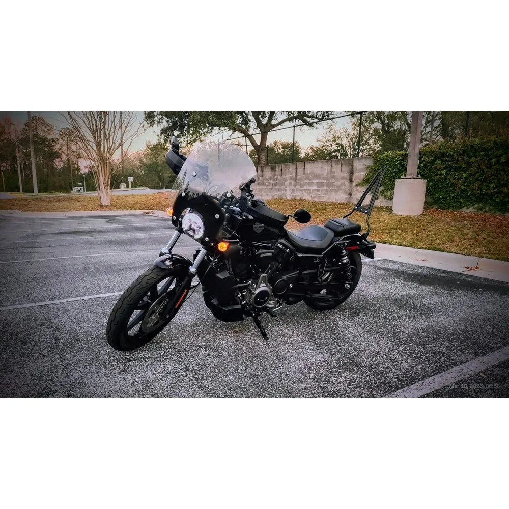 Sissy Bar Viking Bags Iron Born con parrilla plegable