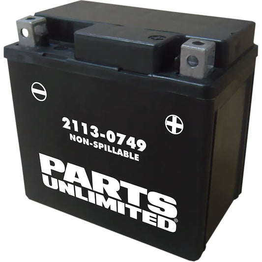Batería AGM sin mantenimiento - Batería AGM - YTX5L