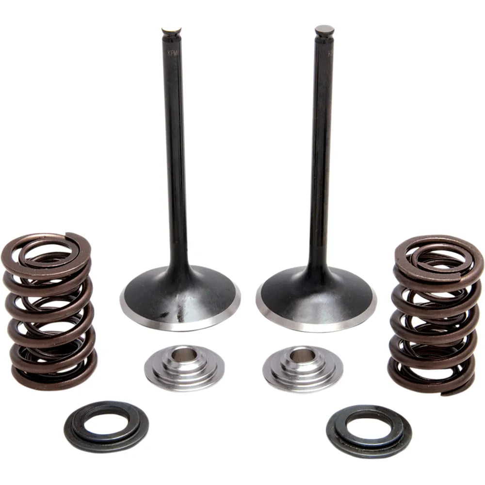 Spring Kit - Stainless Steel
