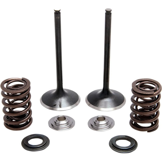 Spring Kit - Stainless Steel