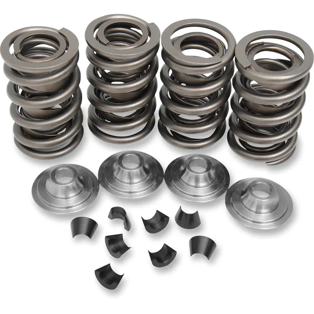 Valve Spring Kit - Big Twin565640