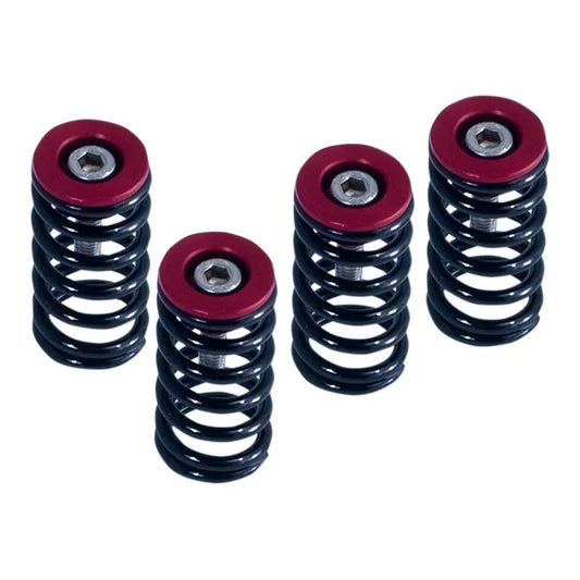 Clutch Springs