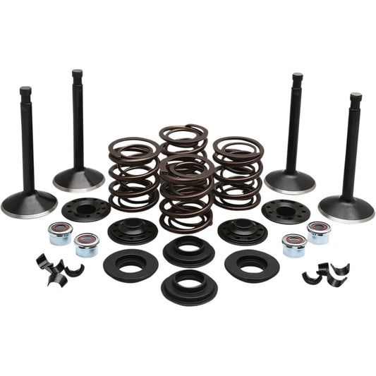 Engine Kit1509361