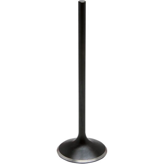 Intake Valve