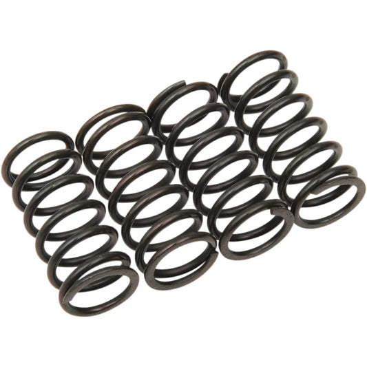 Clutch Spring Kit