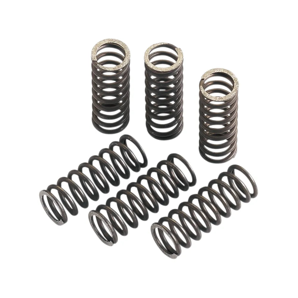 Juego de muelles de Clutch - Muelles de Clutch - TRX/CRF 450