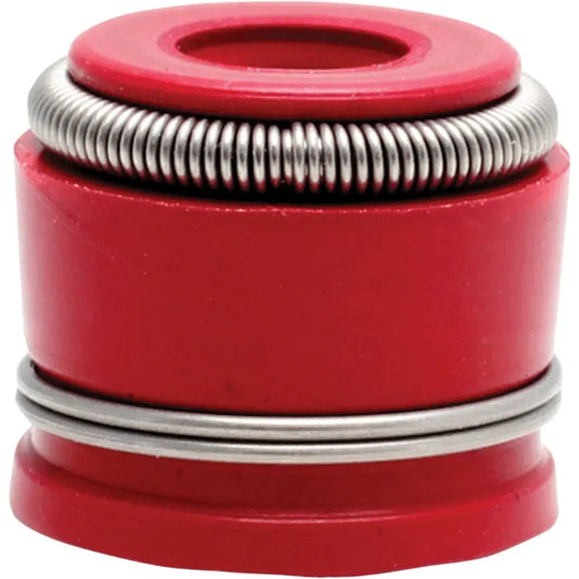 Valve Seal Kit