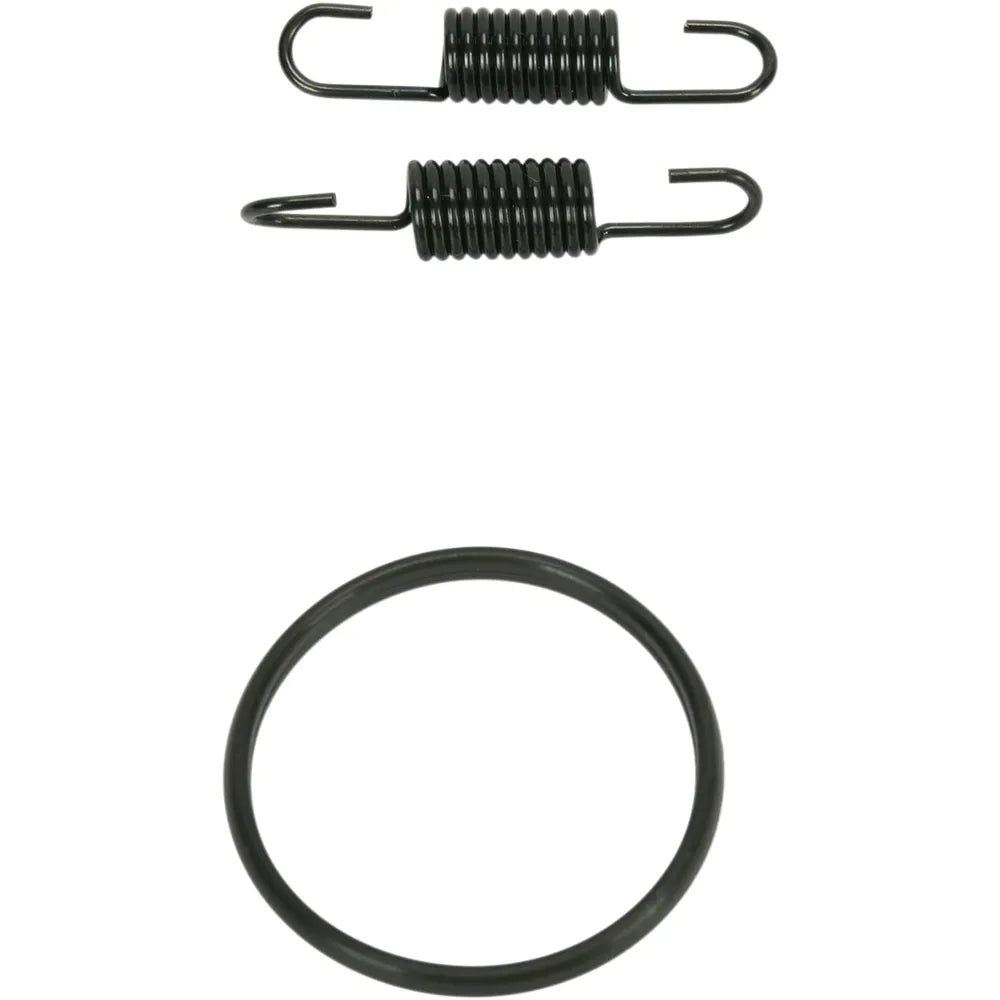Spring and O-Ring Kit