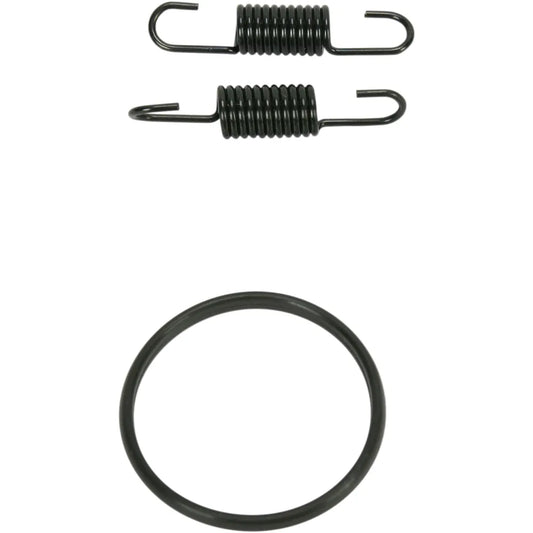 Spring and O-Ring Kit