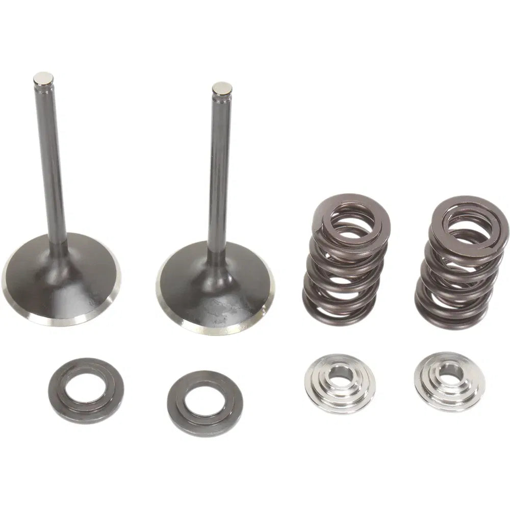 Kit de válvula y resorte de admisión - Kit de válvula y resorte - Suzuki RMZ450