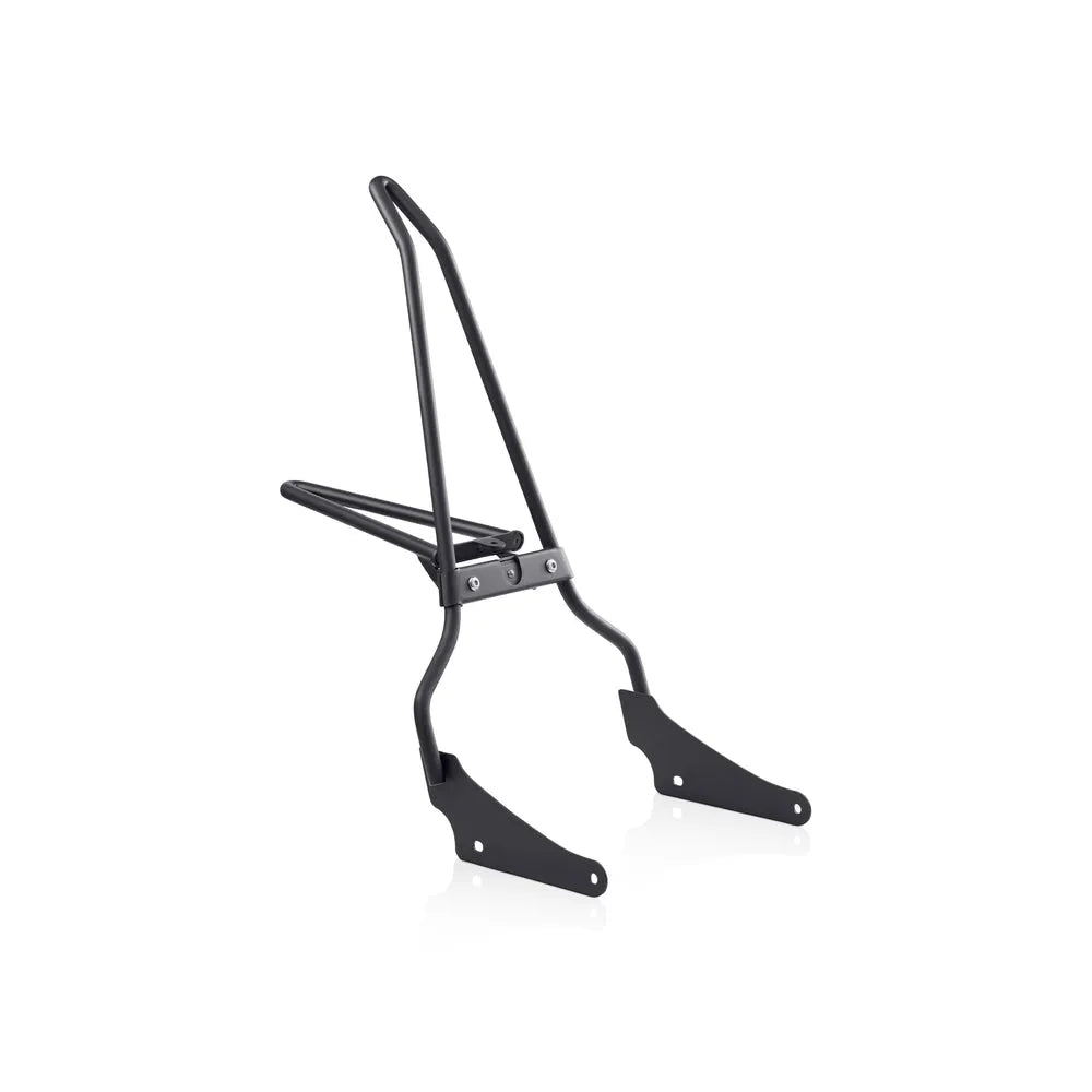 Sissy Bar Viking Bags Iron Born con parrilla plegable