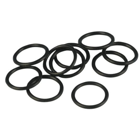 O-Rings sensor CKP H-D 1999 a 2021