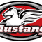 Asientos Mustang