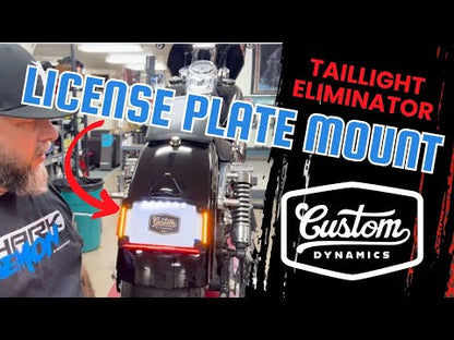 Eliminador de luces traseras para montaje de matricula