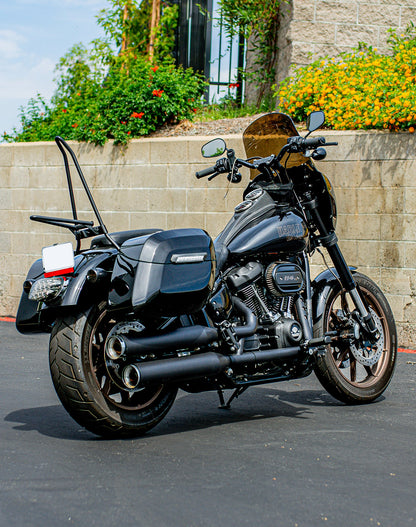 Iron Born Blade 25" Sissy bar with Foldable Luggage Rack para Harley Softail Low Rider S FXLRS Matte Black