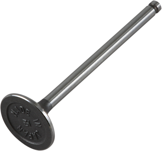 Exhaust Valve