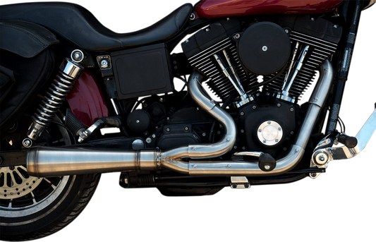 Assault 2:1 Exhaust - Full Stainless - '91-'05 Dyna