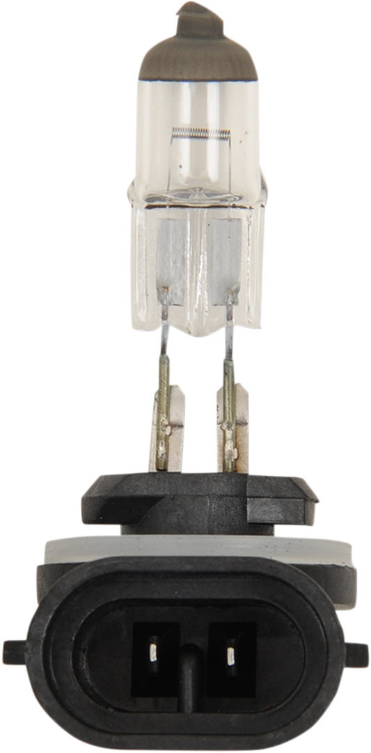 Halogen Bulb - 894 - 37W