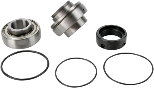 Chain Case Bearing and Seal Kit