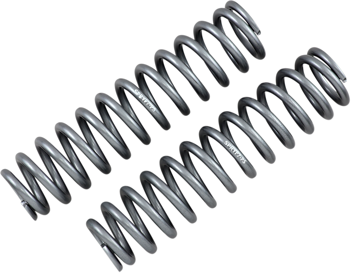 Front Shock Springs - Silver