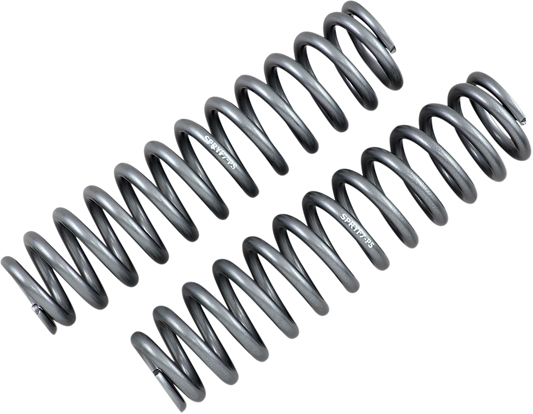 Front Shock Springs - Silver