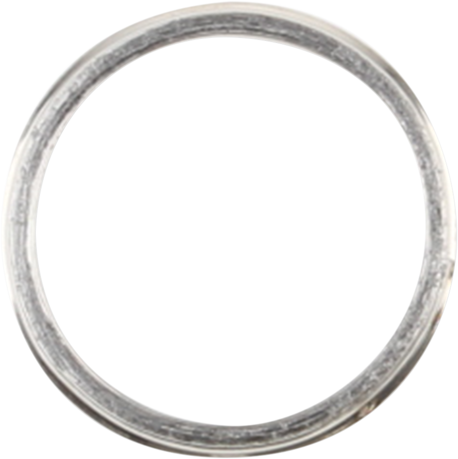 Exhaust Gasket