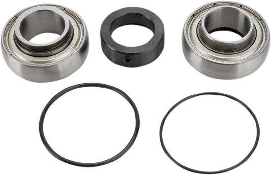 Chain Case Bearing and Seal Kit