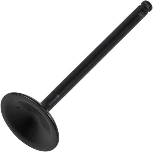 Exhaust Valve