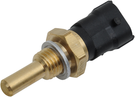 EFI Temperature Sensor