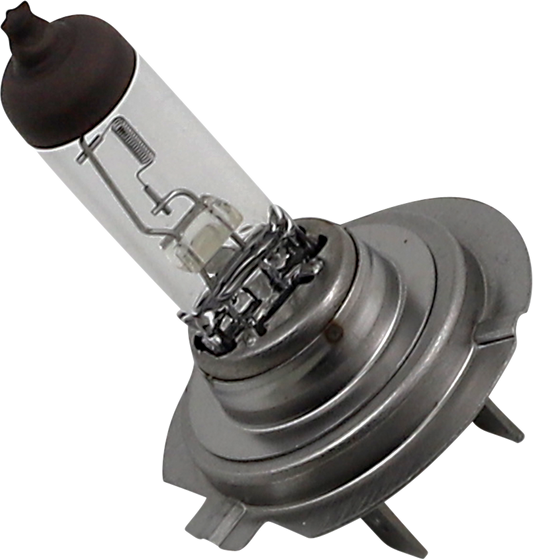 Halogen Bulb - H755 - 55W