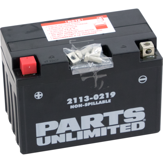 AGM Battery - YT12A-BS