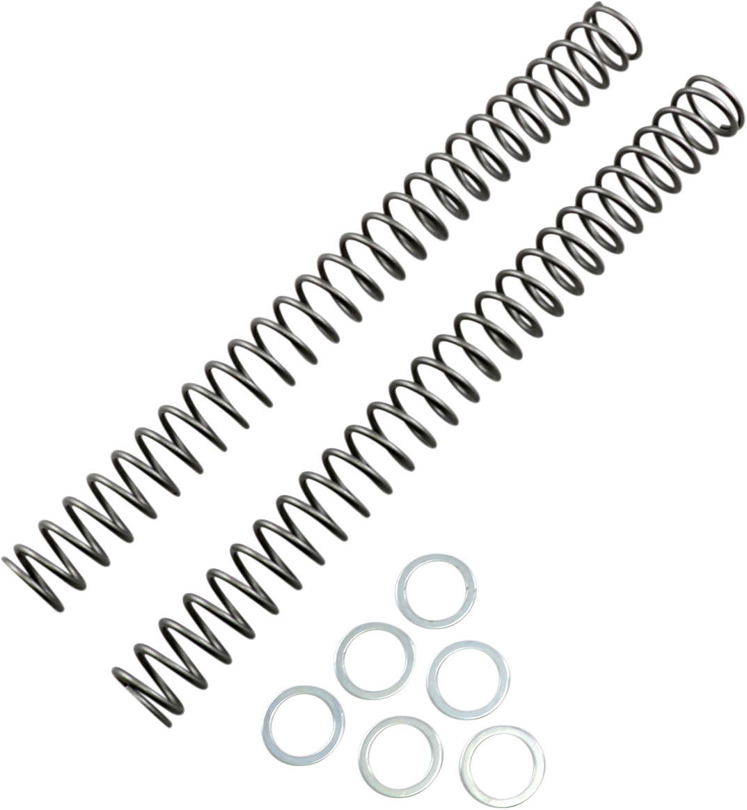 Fork Springs - 0.38 kg/mm