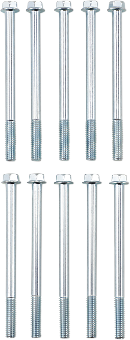 Flange Bolt M6X80 10-Pack