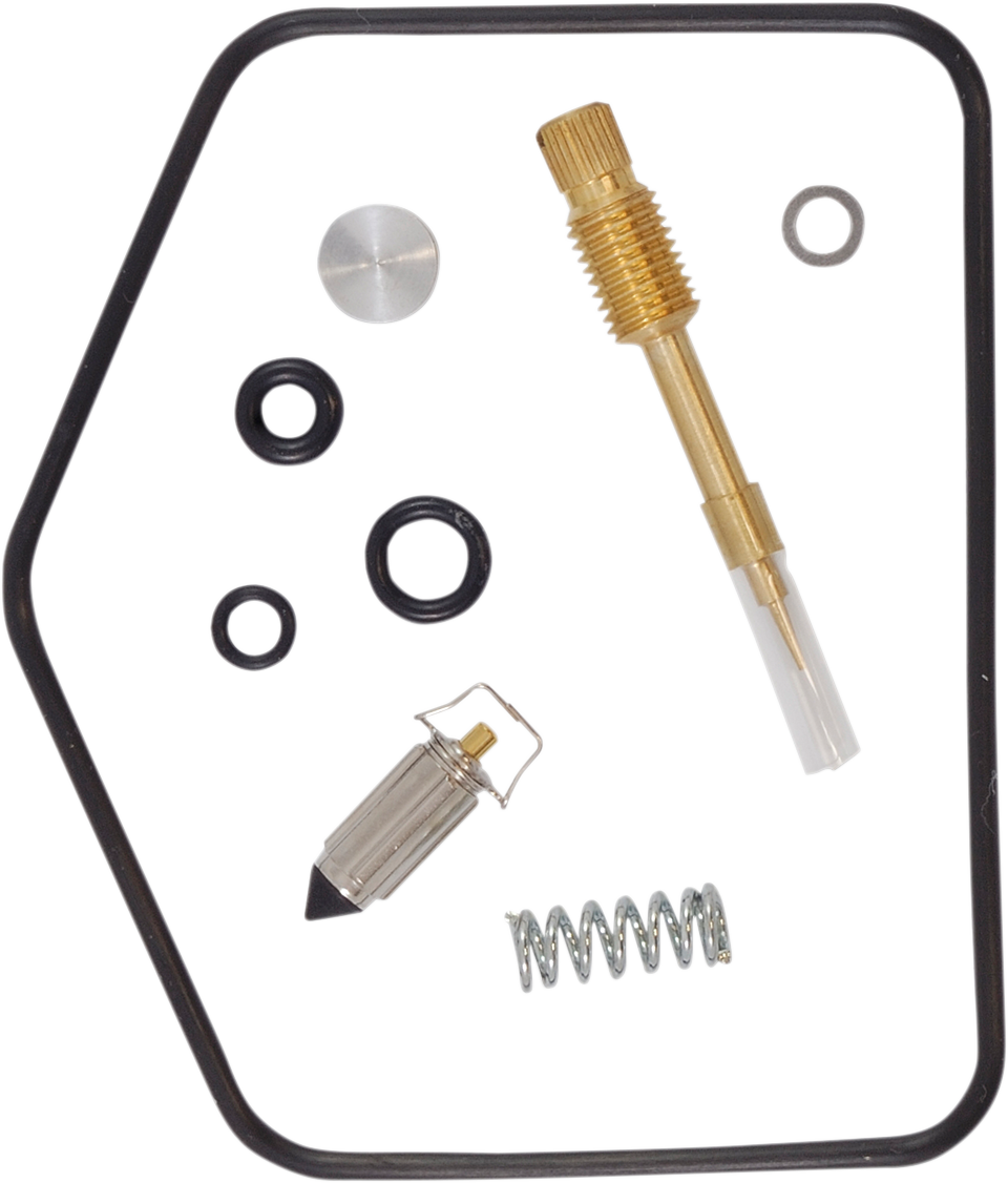 Economy Carburetor Repair Kit